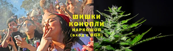 стафф Гусев