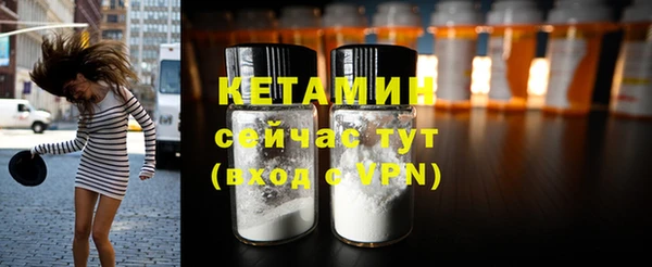 стафф Гусев