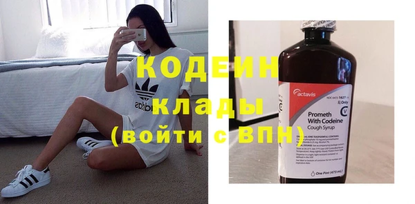 индика Гусиноозёрск