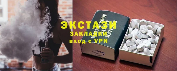 индика Гусиноозёрск