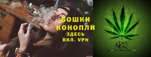 индика Гусиноозёрск