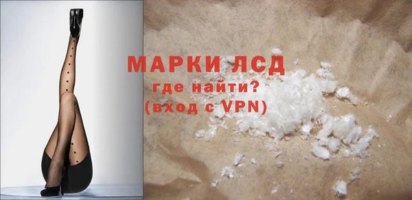 стафф Гусев