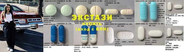 стафф Гусев