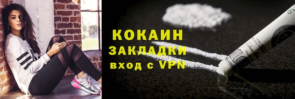 стафф Гусев