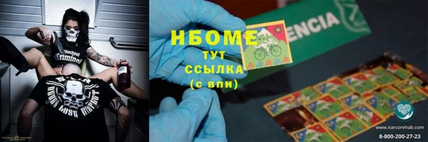 стафф Гусев