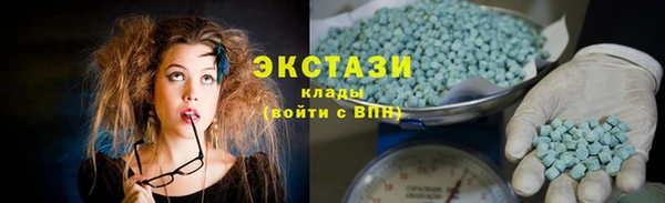 стафф Гусев