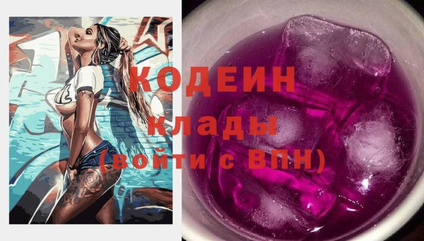 стафф Гусев
