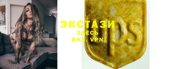 стафф Гусев