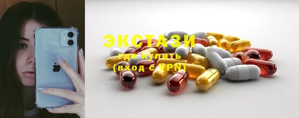 стафф Гусев