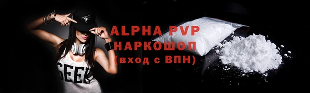 стафф Гусев