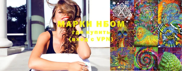индика Гусиноозёрск