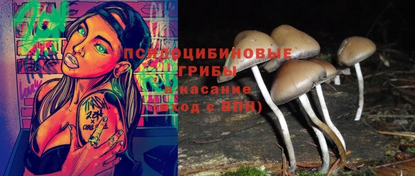 apvp Сафоново