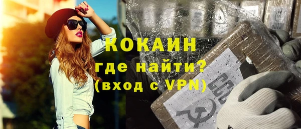 индика Гусиноозёрск