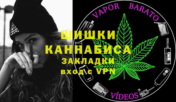 стафф Гусев