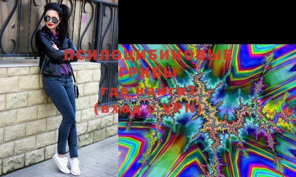 индика Гусиноозёрск