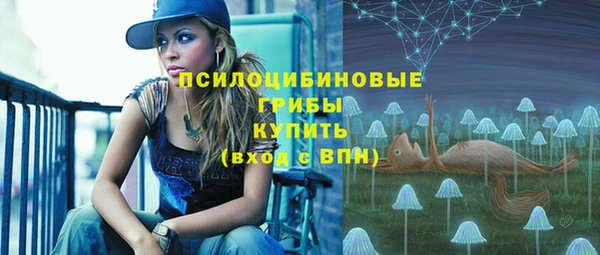 кокаин Гусь-Хрустальный