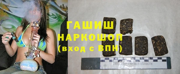 индика Гусиноозёрск