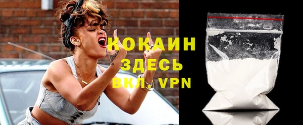 индика Гусиноозёрск